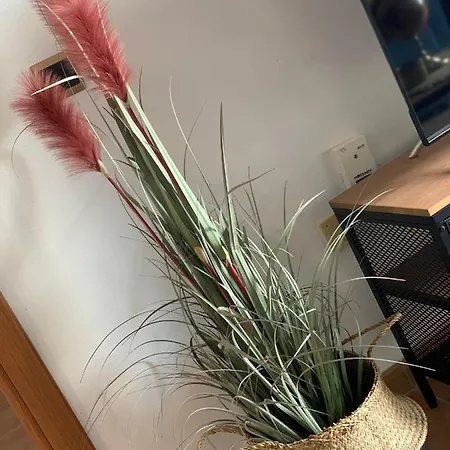 Casablanca Ii アパート アデヘ