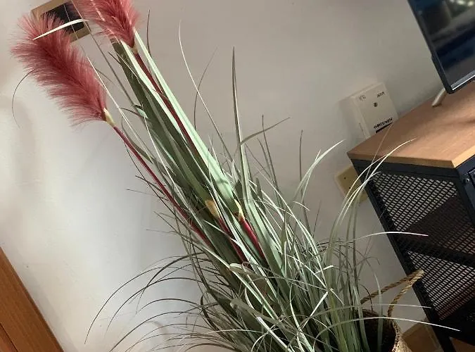 Résidence Casablanca Ii Apartamento Costa Adeje (Tenerife)